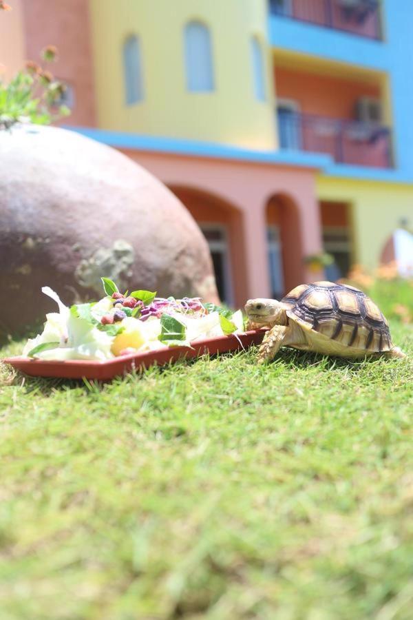 ماغونغ Provence Homestay المظهر الخارجي الصورة